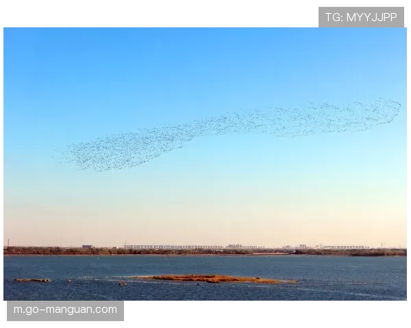 南开大学激扬排球俱乐部主办京津四校交流赛，响应京津冀协同发展